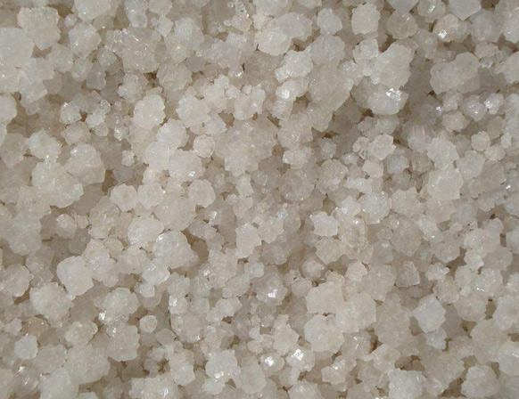 選擇我們的理由